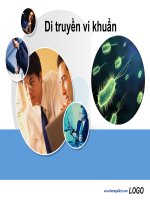 Di truyền vi khuẩn,Đặc trưng di truyền vi khuẩn
