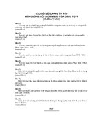 CÂU HỎI ĐỀ CƯƠNG ÔN TÂPMÔN ĐƯỜNG LỐI CÁCH MẠNG CỦA ĐẢNG CSVN(GỒM CÓ 9 CÂU)