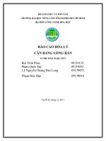 BÁO CÁO HÓA LÝ CÂN BẰNG LỎNG RẮN