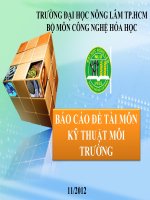 BÁO CÁO ĐỀ TÀI MÔN KỸ THUẬT MÔI TRƯỜNG-XỬ LÝ RÁC THẢI BẰNG PHƯƠNG PHÁP ĐỐT