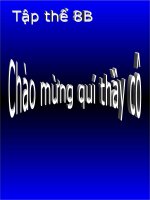 giáo án giáo án dạy học tích hợp môn Toán -Trục đối xứng.