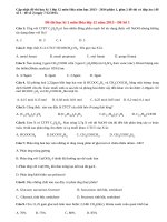 Đề thi học kì 1 lớp 12 môn Hóa năm 2013 (Phần 1)