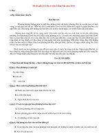 Đề thi giữa học kì 2 môn Tiếng Việt lớp 4 năm 2014