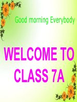 Unit 9 at home and away English 7