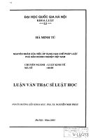 Nguyên nhân của việc áp dụng hạn chế pháp luật phá sản doanh nghiệp việt nam  luận văn ths  luật 