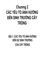 Chương 2 CÁC YẾU TỐ ẢNH HƯỞNG ĐẾN SINH TRƯỞNG CÂY TRỒNG