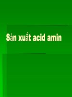 SẢN XUẤT ACID AMIN