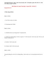 Đề thi học kì 1 lớp 11 môn Toán năm 2013 (Phần 4)