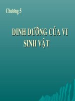 CHƯƠNG 5 DINH DƯỠNG CỦA VI SINH VẬT