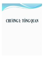 CHƯƠNG 1 TỔNG QUAN-SỰ PHÂN BỐ VÀ DẠNG CỦA NƯỚCTRÊN TRÁI ĐẤT
