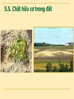 5.5. Chất hữu cơ trong đất