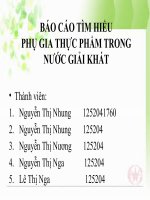 BÁO cáo tìm HIỂU PHỤ GIA THỰC PHẨM TRONG nước GIẢI KHÁT