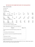 Đề thi thử tốt nghiệp THPT môn Văn năm 2014 (P4)