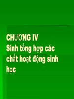 CHƯƠNG IV Sinh tổng hợp các chất hoạt động sinh học