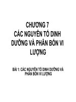 CHƯƠNG 7 CÁC NGUYÊN TỐ DINH DƯỠNG VÀ PHÂN BÓN VI LƯỢNG