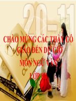 giáo án dạy học tích hợp môn ngữ văn 2016Bài toán dân số