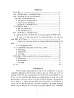 Căn bệnh Hà Lan trong lĩnh vực đời sống – xã hội