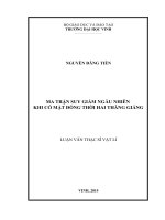 Ma trận suy giảm ngẫu nhiên khi có mặt đồng thời hai thăng giáng