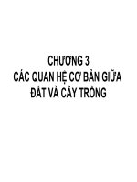 CHƯƠNG 3CÁC QUAN HỆ CƠ BẢN GIỮA ĐẤT VÀ CÂY TRỒNG