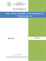 LẬP DỰ ÁN KHU CÔNG NGHIỆP CẢNG THÀNH TÀI TỈNH LONG AN