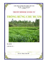 Lập dự án DỰ ÁN TRỒNG RỪNG CHƯ RCĂM