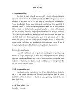 lạm phát, tiền lương cũng như giá cả và ảnh hưởng của chúng, tác động của chúng đến hoạt động tài chín