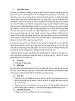 Vận dụng lý luận về ngoại ứng để phân tích tổn thất phúc lợi xã hội do Vedan gây ra vàđưa ra giải pháp can thiệp của chính phủ nhằm xử lý ngoại ứng này