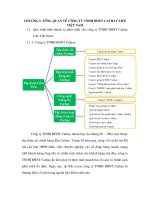 Quá trình hình thành và phát triển của công ty TNHH BHNT Cathay Life Việt Nam