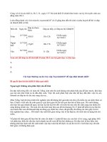 Đáp án đề thi cao đẳng khối D năm 2013