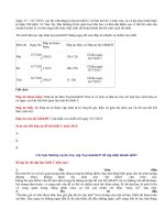 Đáp án đề thi cao đẳng khối C năm 2013