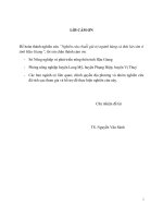 Nghiên cứu chuỗi giá trị ngành hàng cá thát lát còm ở tỉnh hậu giang