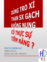Dùng tro xỉ sx gạch không nung