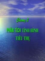 PHAÂN TÍCH TÌNH HÌNH TÌNH HÌNH TIÊU THỤTIÊU THỤ