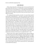 NHỮNG TƯ TƯỞNG NHO GIÁO VÀ VẬN DỤNG VÀO QUẢN LÝ NỀN KINH TẾ THỊ TRƯỜNG VIỆT NAM HIỆN NAY