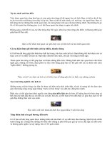 Hào hứng học lịch sử thông qua bảo tàng