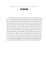 Mô hình công ty TNHH & Công ty cổ phần đối với nền kinh tế nớc ta