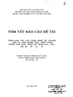 Triển khai các loại công nghệ cổ truyền sơn ta, sơn quang dầu, thiếp vàng trong sản xuất hàng mỹ nghệ (1992 1994)