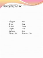 PHÂN LOẠI THỰC VẬT HỌC-PHẦN 2