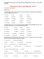 Đề thi học kì 1 lớp 12 môn tiếng Anh năm 2013 (P1)