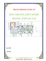LẬP DỰ ÁN ĐẦU TƯ DÂY CHUYỀN GIẾT MỔ BÒ HOÀNG ANH GIA LAI