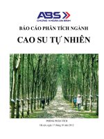 BÁO CÁO PHÂN TÍCH NGÀNH CAO SU TỰ NHIÊN