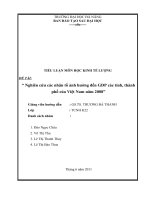 nghiên cứu các nhân tố ảnh hưởng đến gdp các tỉnh, thành phố của việt nam 2008