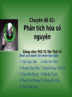 Chuyên đề  phân tích hóa số nguyên