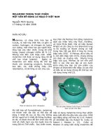 Melamine TRONG THỰC PHẨM: MỘT SỐ VẤN ĐỀ ĐÁNG LO NGẠI Ở VIỆT NAM