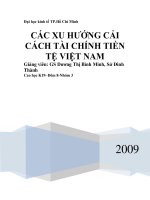 CÁC XU HƯỚNG CẢI CÁCH TÀI CHÍNH TIỀN TỆ VIỆT NAM