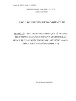 THỰC TRẠNG HỆ THỐNG, QUỸ VÀ PHƯƠNGTHỨC THANH TOÁN, MỨC ĐÓNG VÀ QUYỀN LỢI BẢOHIỂM Y TẾ Ở CÁC NƯỚC TRONG KHU VỰC ĐÔNG NAM Á.THÁCH THỨC VÀ HƯỚNG GIẢI QUYẾT