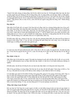 Mách bạn mẹo chữa ngọng tiếng Anh