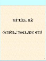 THIẾT kế KHAI THÁC các THÂN dầu TRONG đá MÓNG nứt nẻ