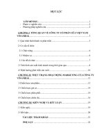 hoàn thiện chiến lược Marketing của Vinamilk