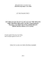 Kỹ thuật sản xuất và xử lý sau thu hoạch nhựa buồng hoa dừa nước (nypa fruticans wurmb ) tại một số vùng sinh thái ở đồng bằng sông cửu long (TT) 